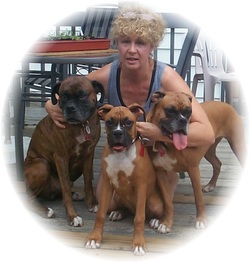 Me and my precious Boxers Zeus, Max and Alli
